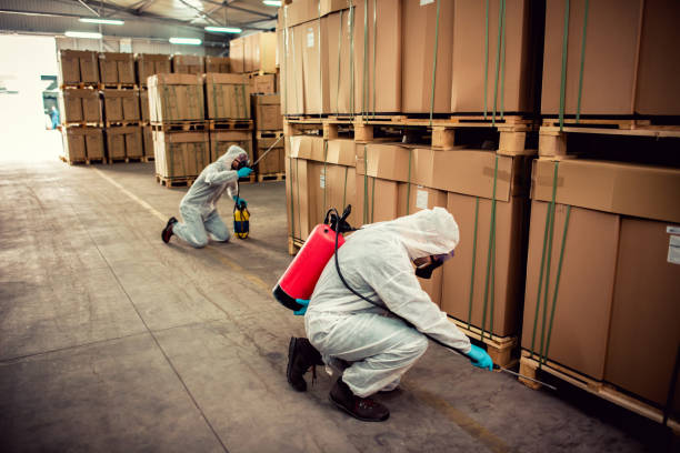 Trusted Kendale Lakes, FL Pest Control Experts
