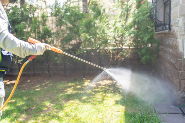 Wasp Removal Services in Kendale Lakes, FL